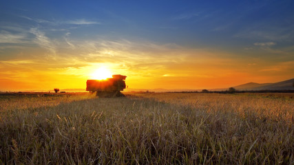 Combine, field and sunrise. Reach success in agribusiness