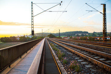 HDR Landschaft und Tiere