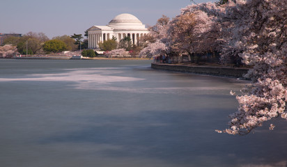 Washington DC Monuments Cherry Blossoms