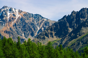 Fototapeta premium Snowy mountain top behind wooded hill under blue clear sky. Rocky ridge above coniferous forest. Atmospheric minimalistic landscape of majestic nature.