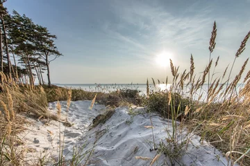 Foto op Canvas Oostzee strand © haiderose