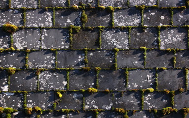 old weathering slate roof with mossy joints