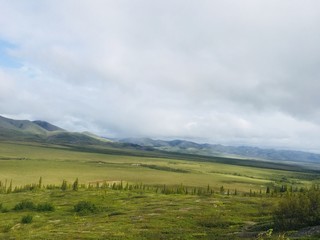 Mountain and Mist