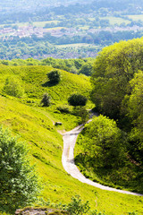 Winding path between a hill and a forest