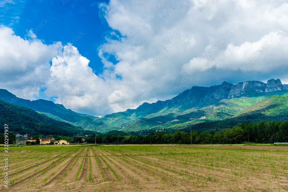 Wall mural the peak of puigsacalm in the province of garrotxa (catalonia, spain)