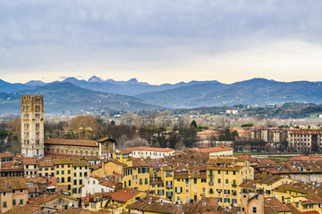 Aerial View Historic Center of Lucca, Italy - obrazy, fototapety, plakaty