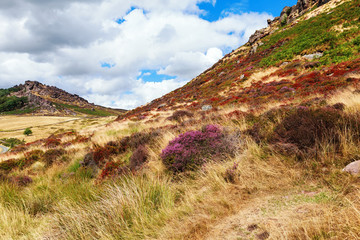 Rock formations at the Roaches, Peak District National park, view of the stones and heather, selective focus