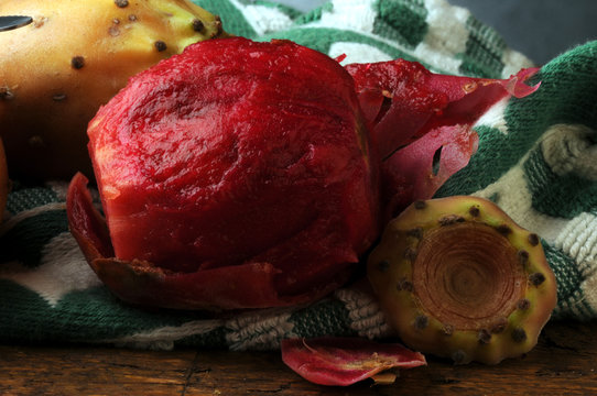 Opuntia ficus-indica Fico d'india &Phi;&rho;&alpha;&gamma;&kappa;&omicron;&sigma;&upsilon;&kappa;&iota;ά Опунция индийская ft81082250 Ficodindia Tuna Indijska smokva prickly pear