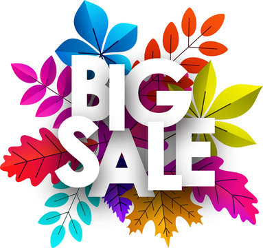 Big sale sign. Promo poster with color leaves for shop.