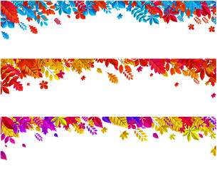 Set of autumn banners with beautiful colorful leaves.