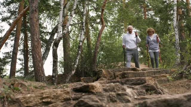 PAN with low angle of elderly man and woman using trekking poles and hiking along rocky forest trail