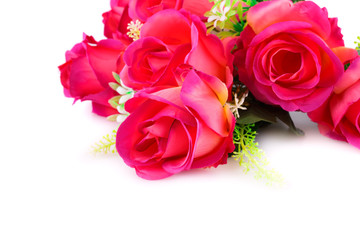 Fototapeta premium Roses