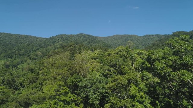 Aerial view of mountains with green forest, trees, jungle with blue sky. Slopes of mountains with tropical rainforest. Philippines, Luzon. Tropical landscape in Asia.