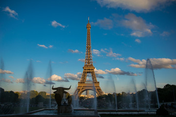 Fototapeta na wymiar Eiffel Tower a view from Trocadero Gardens on a sunny day