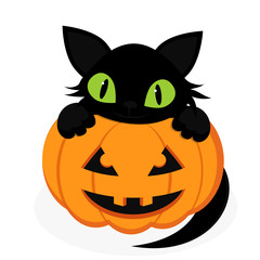 black cat with pumpkin