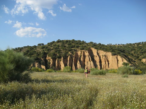 Monta&ntilde;a de cortados y c&aacute;rcavas de erosi&oacute;n al fondo, cielo azul con paisaje de primavera delante con hierbas y flores y excursionistas a lo lejos