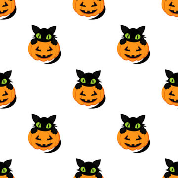 pumpkin pattern and black cat