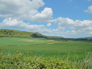 Fototapeta premium English Countryside