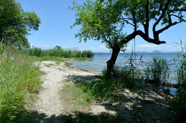 Obraz premium 琵琶湖湖畔