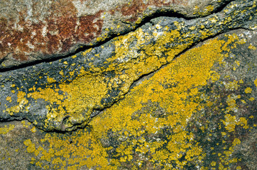 stone texture
