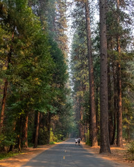 yosemite road