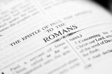 The holy bible close up