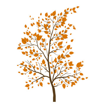 Fall tree icon