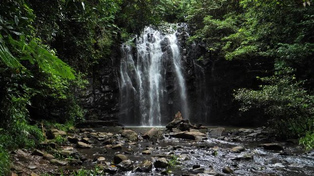 Establishing shot of Ellinjaa Falls in Millaa Millaa, Queensland, Australia. 