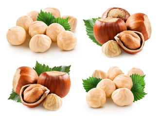 Hazelnuts isolated on white