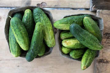 Baskets of Green pickles cucumbers