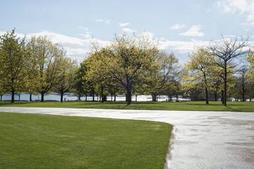 Park in London in the spring