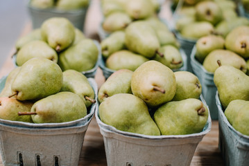 Farm fresh pears, organic healthy food