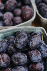 Farm fresh plums, organic healthy food