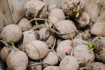 Farm fresh peaches, organic healthy food