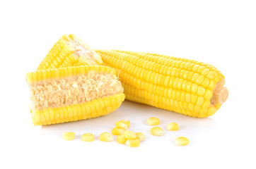 Corn isolate on white background