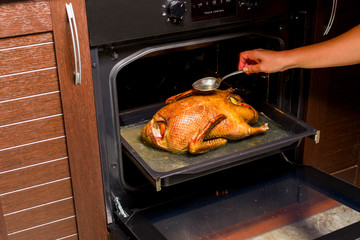 duck with apples cooked in the oven