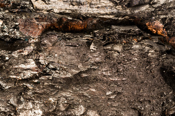 structure of coal stone close-up, texture of coal