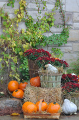 Fototapeta na wymiar House decorated with pumpkins and fall leaves for Thanksgiving day and Halloween, New England. USA