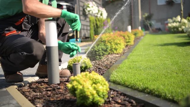 Adjusting Automatic Garden Lawn Sprinkler by Professional Gardener