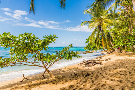 A typical view in Punta uva in Costa Rica