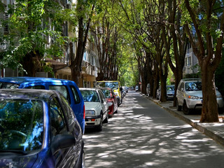 Narrow city street with cars parked on the roadside under the canopy of green trees and with summer afternoon sunlight and shadows horizontal frame