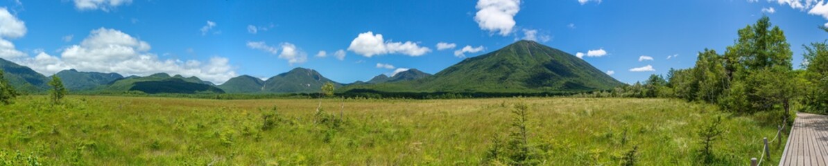 夏の日光小田代ヶ原