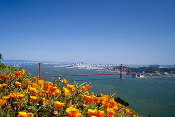 Golden Gate Bridge © Natalia