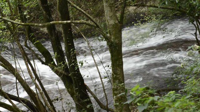 樹間より望む木地屋渓谷の流れ