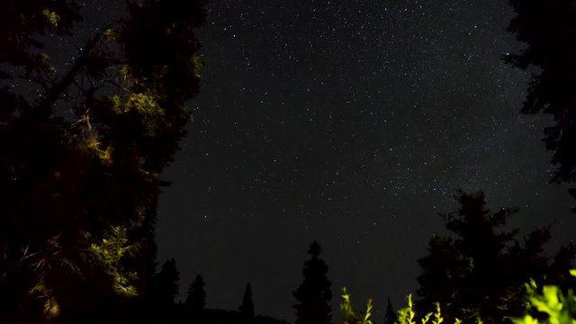 Stars and Milky Way time-lapse with trees in foreground