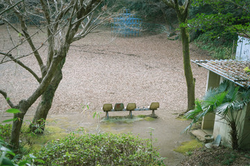 ベンチのある風景　裾野市偕楽園