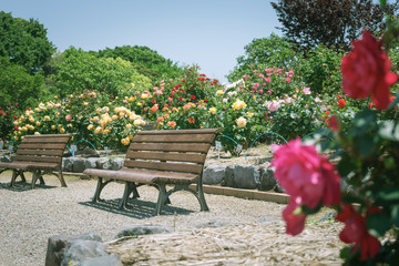 ベンチのある風景　富士市中央公園