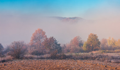 thick fog in the valley. trees in fall foliage. top of the mountain seen in the distance