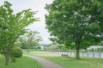 Fototapeta na wymiar ベンチのある風景　門池公園
