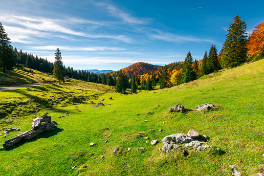 autumn landscape of Apuseni National park. beautiful scenery with fall colored forest and distant mountains. wonderful destination of Romania